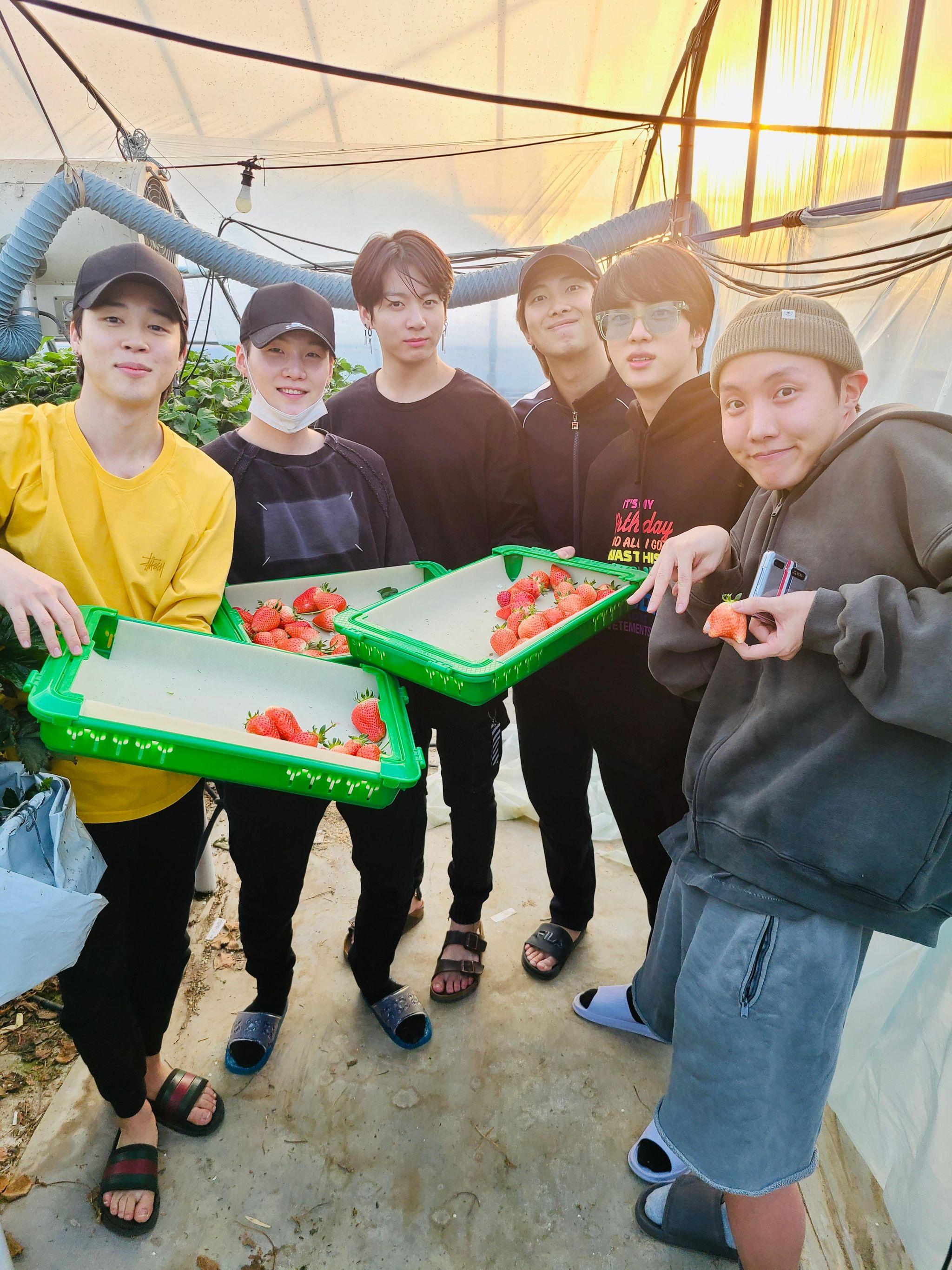 いちご農園に行ってきました！ - 防弾少年団BTSがいる日々