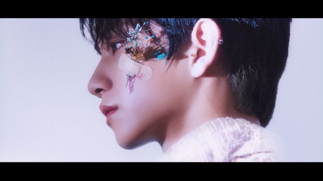 SEVENTEEN セブチ 舞い落ちる花びら ウォヌ セット SEVENTEEN「舞い落ちる花びら（Fallin' Flower）」MVで柔らか
