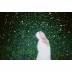 ํ๋ก๋ฏธ์ค๋ฐ์ด
