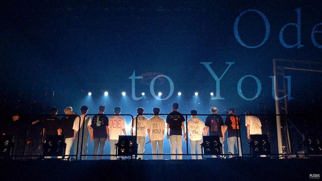 【うちわ2点】ウジ SEVENTEEN Ode to You/Hare 8f030d3d1e2b4d049866a4bde5d7b8