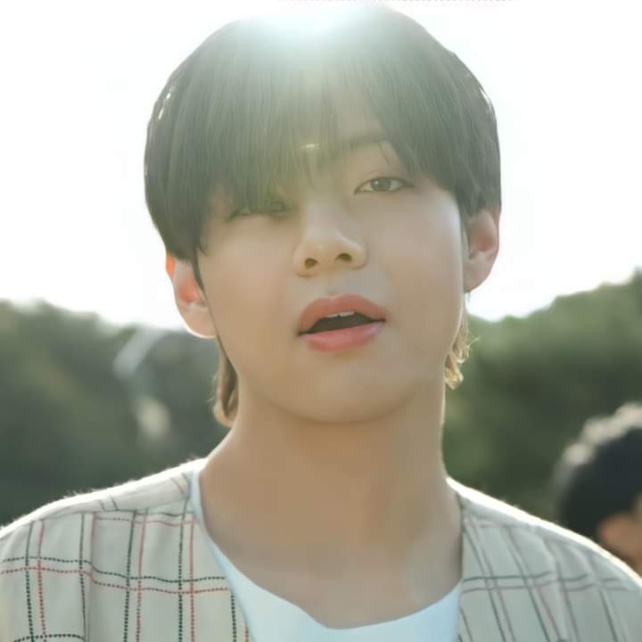 BTS Community Post - BTS 'Life Goes On' Official M/V in forest💜💜