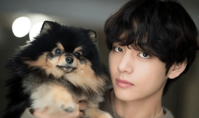 BTS Community Posts - it's yeontan day ️ ️ ️ ️