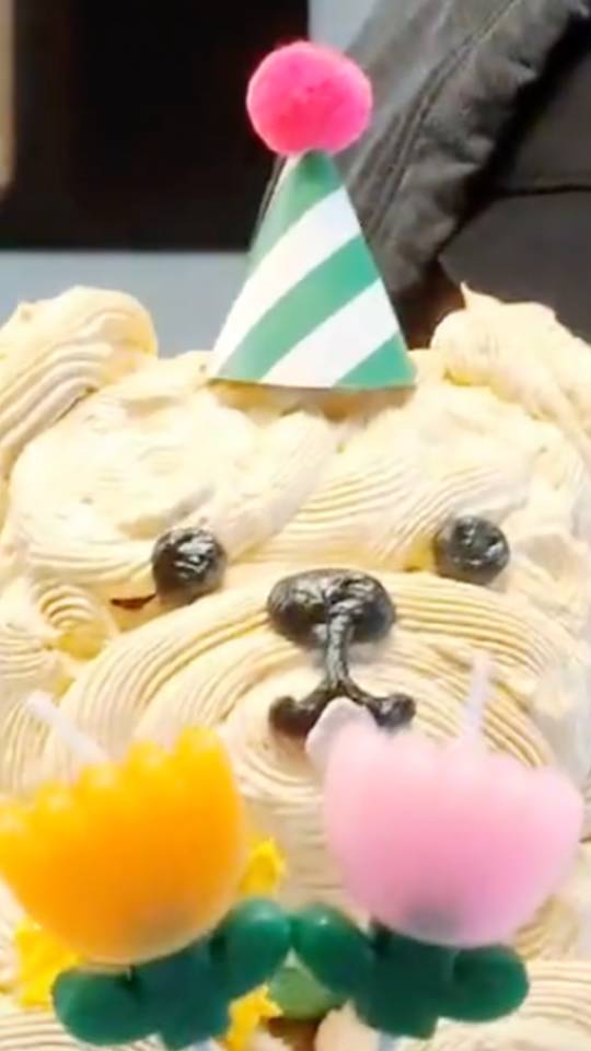 ミンハオ ラキドロ Weverse HAPPY BIRTHDAY Happy Birthday To Me