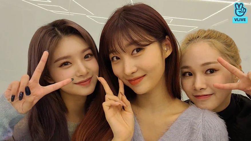 everglow countingstars バラ売り可 everglow countingstars バラ売り可 everglow countingstars バラ売り