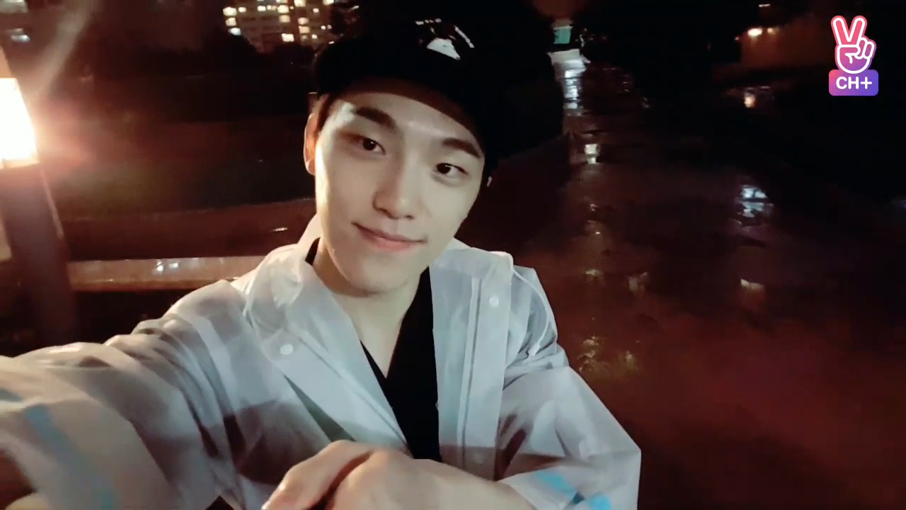 Weverse SEVENTEEN Media - [CH+ mini replay] 'Once a Day DINO'