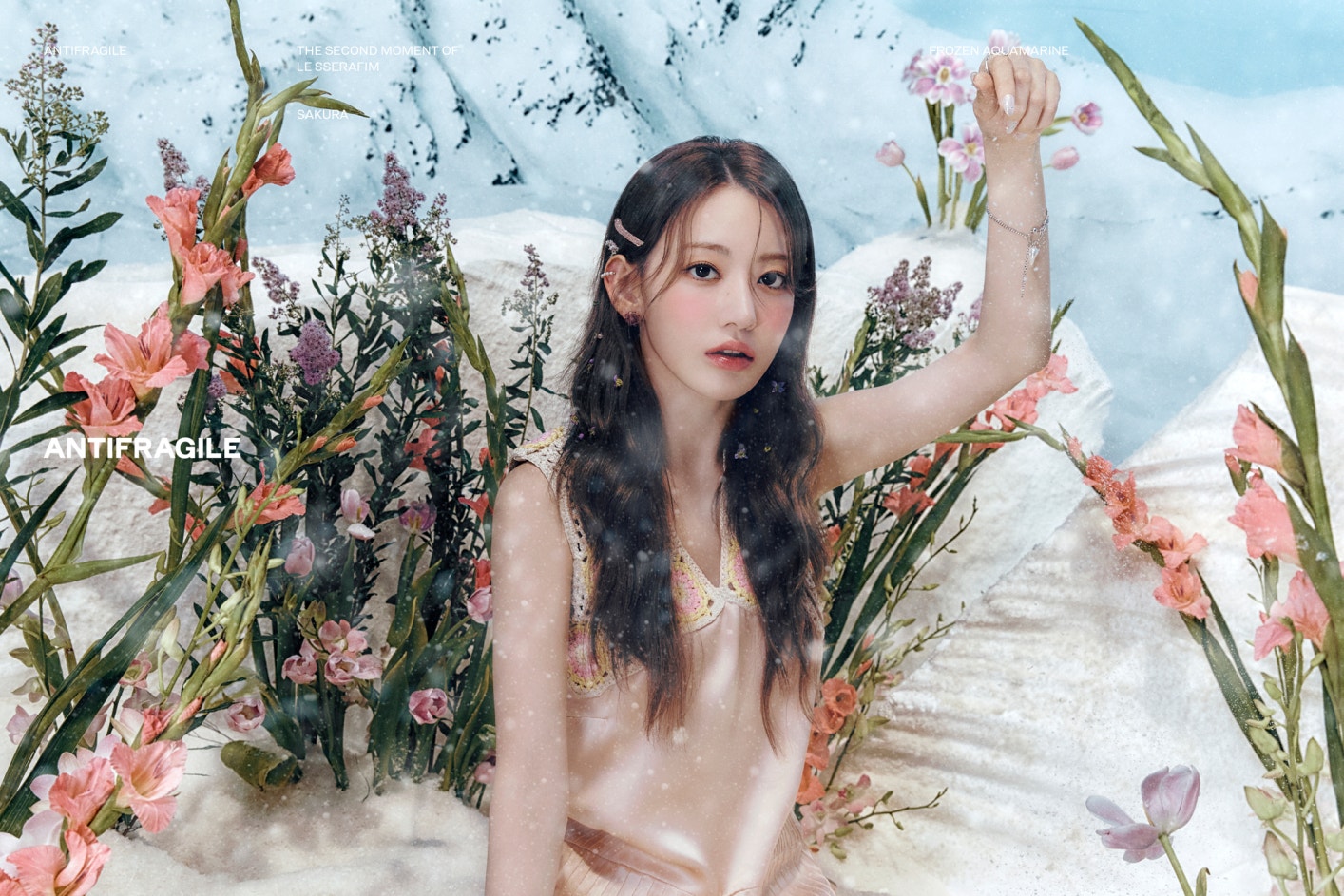 LE SSERAFIM サクラ ANTIFRAGILE weverse ラキドロ LE SSERAFIM ANTIFRAGILE Weverse Album ver. Photo card Official