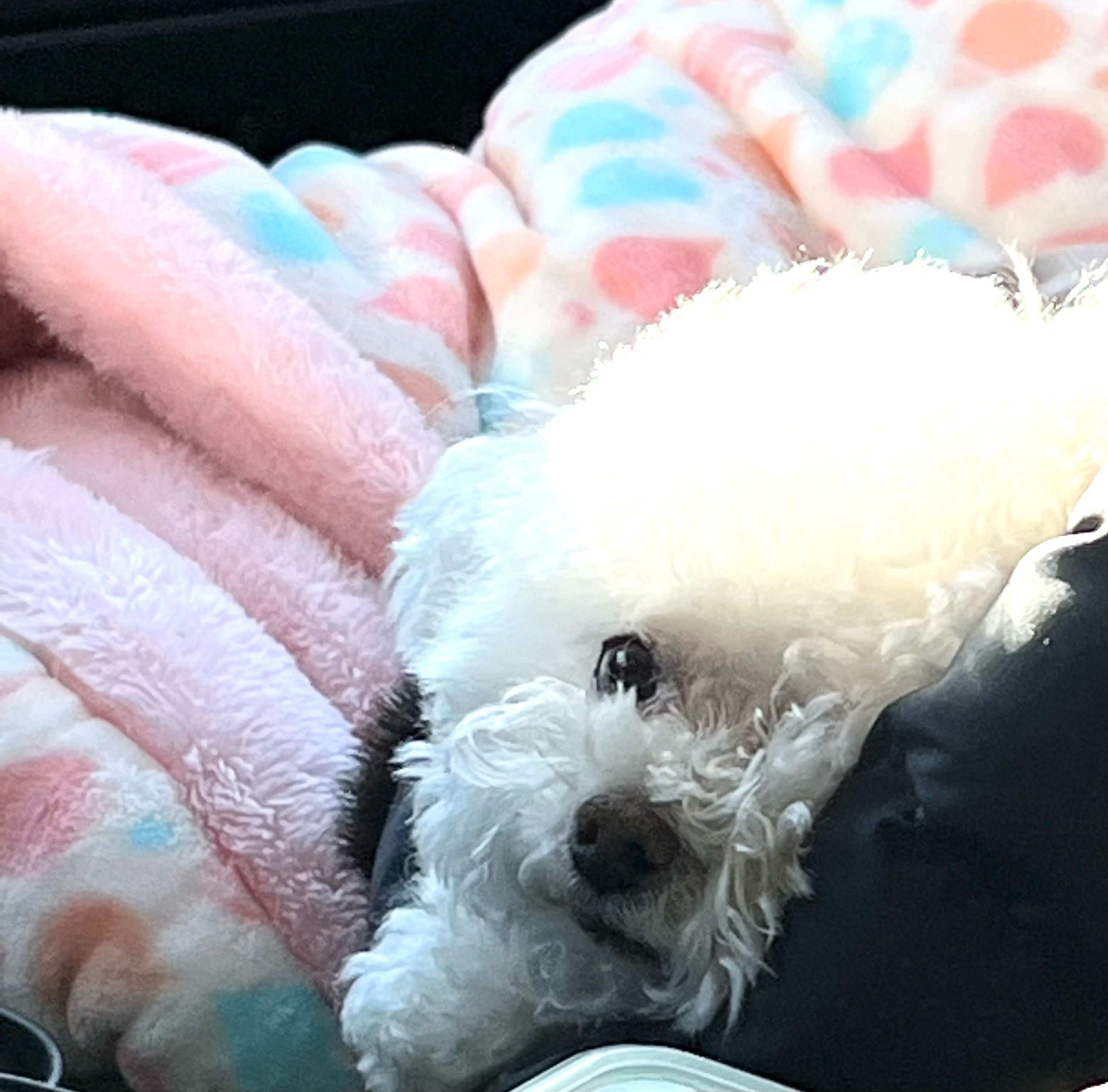 🤗💕