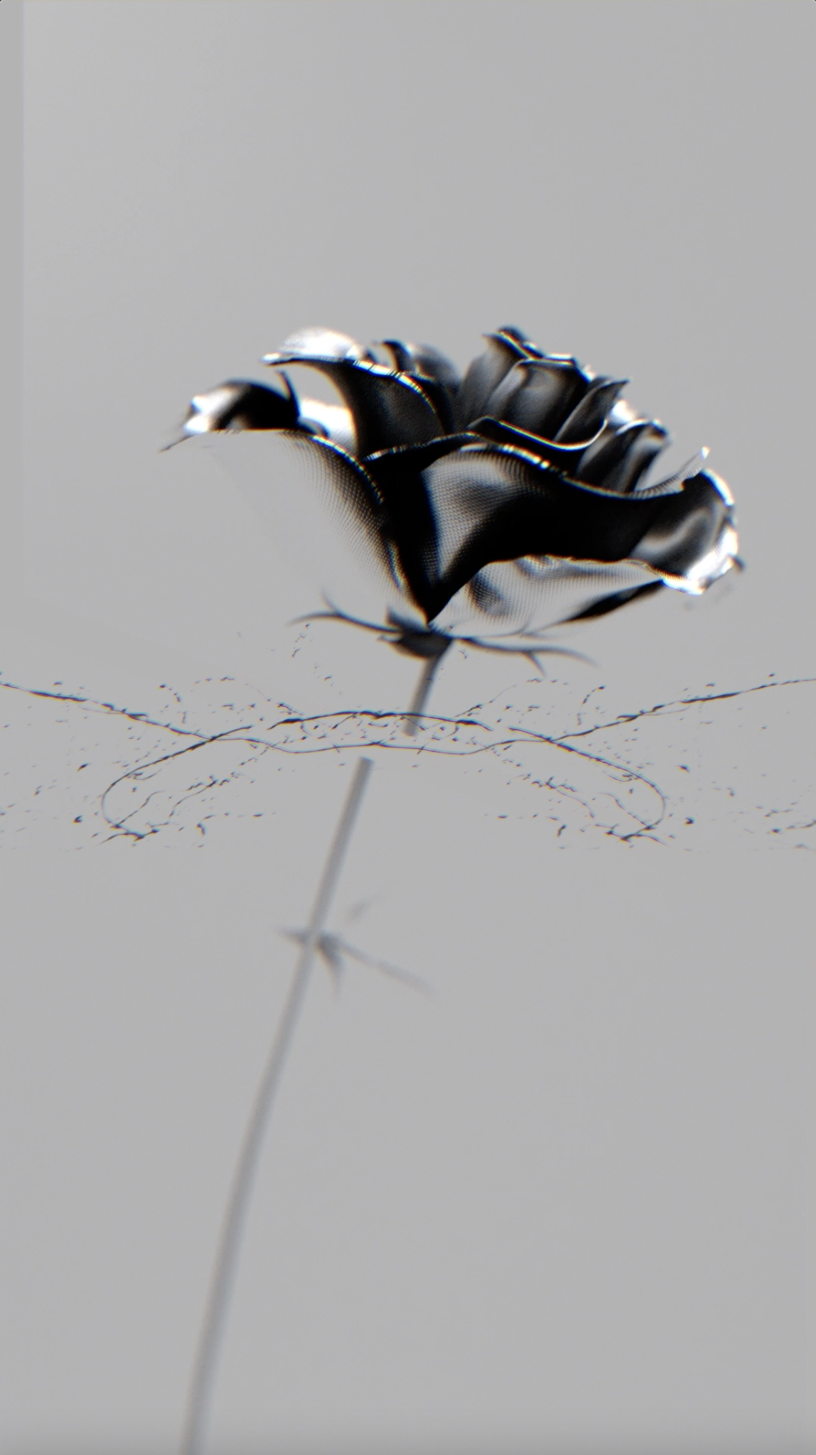Weverse LE SSERAFIM Media - LE SSERAFIM (르세라핌) 'ANTIFRAGILE