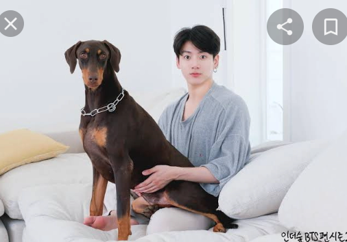 BTS Community Posts - Jk o JEON BAM MELHOROU? ELE ESTÁ BEM JK,?