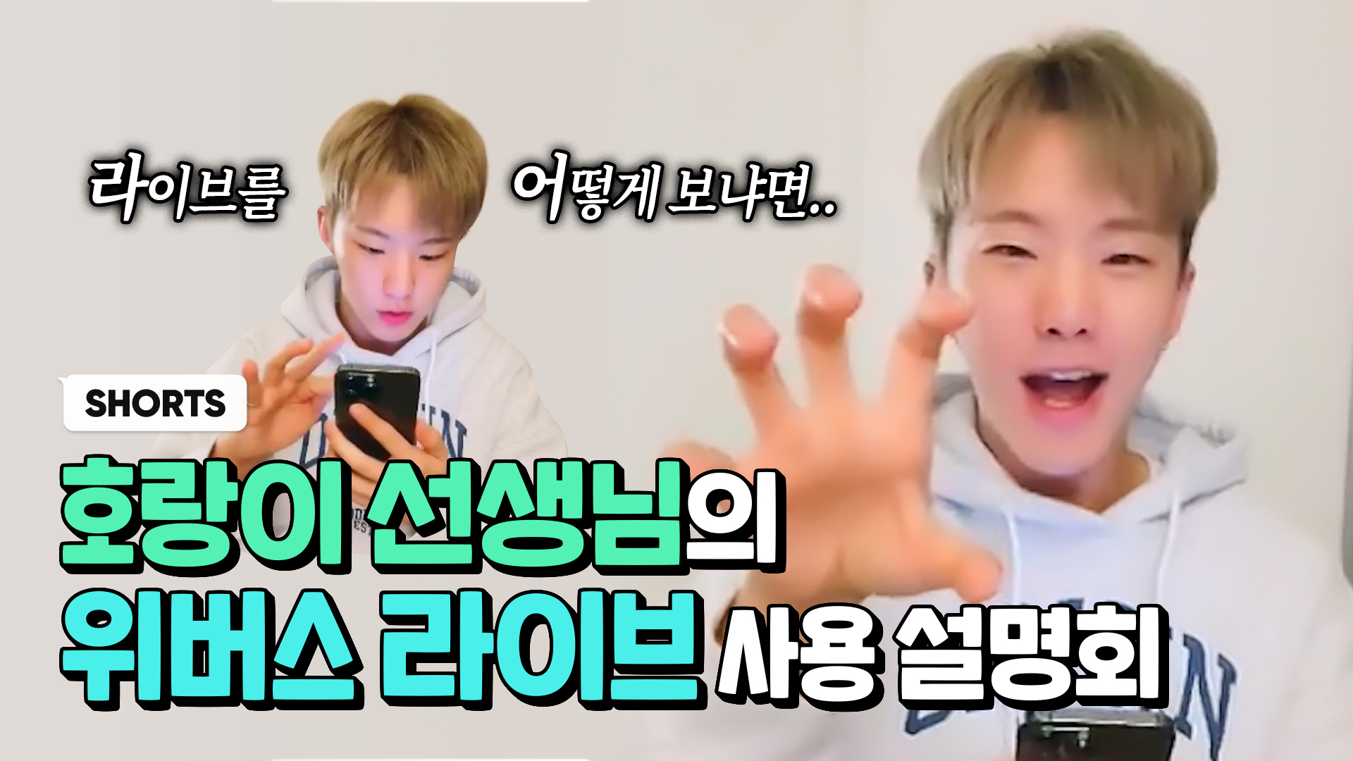 HOSHI's guide to Weverse LIVE