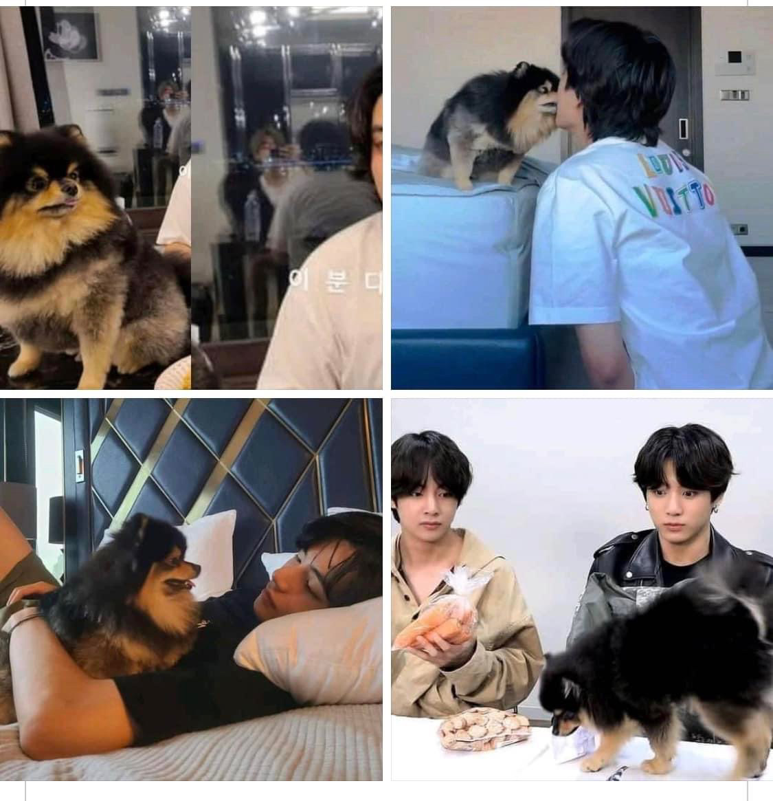 BTS 커뮤니티 포스트 - #V I Wanna Be Yeontan, No School, No Homework, No ...