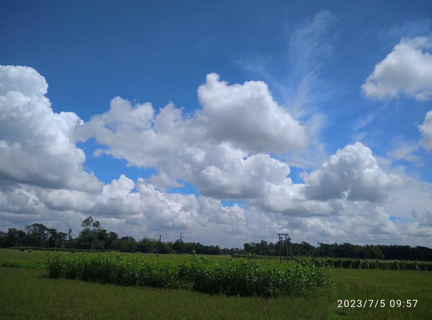 bts-community-posts-every-day-every-night-i-just-look-at-the-sky-and