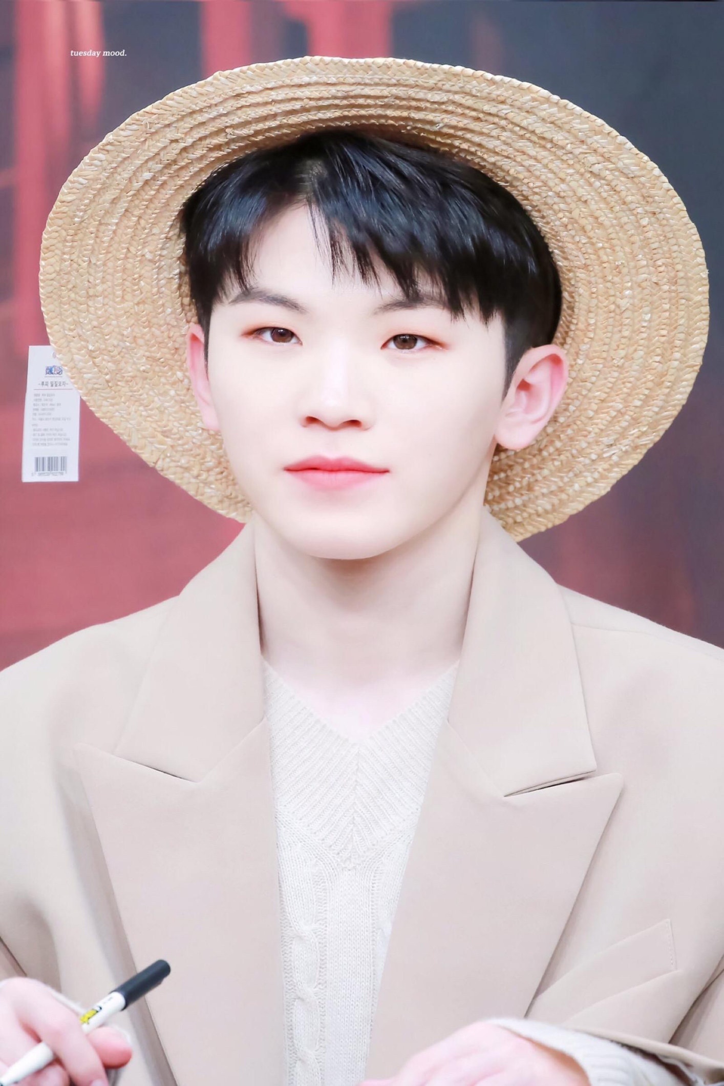 seventeen-community-posts
