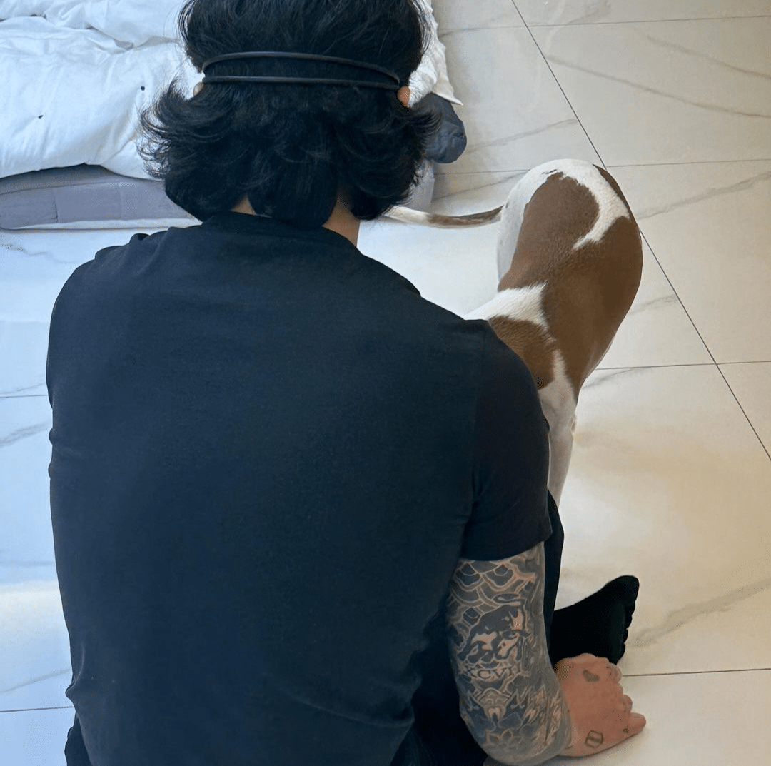 BTS Community Posts - Брат Чонгука выложил фото собачек Пёна и Сона ?? И ...