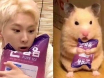 SEVENTEEN Community Post - 얼음있어~! 얼음이 있네~? 얼음이 차가워•¤• 제작진:ㅋㅋㅋㅋ