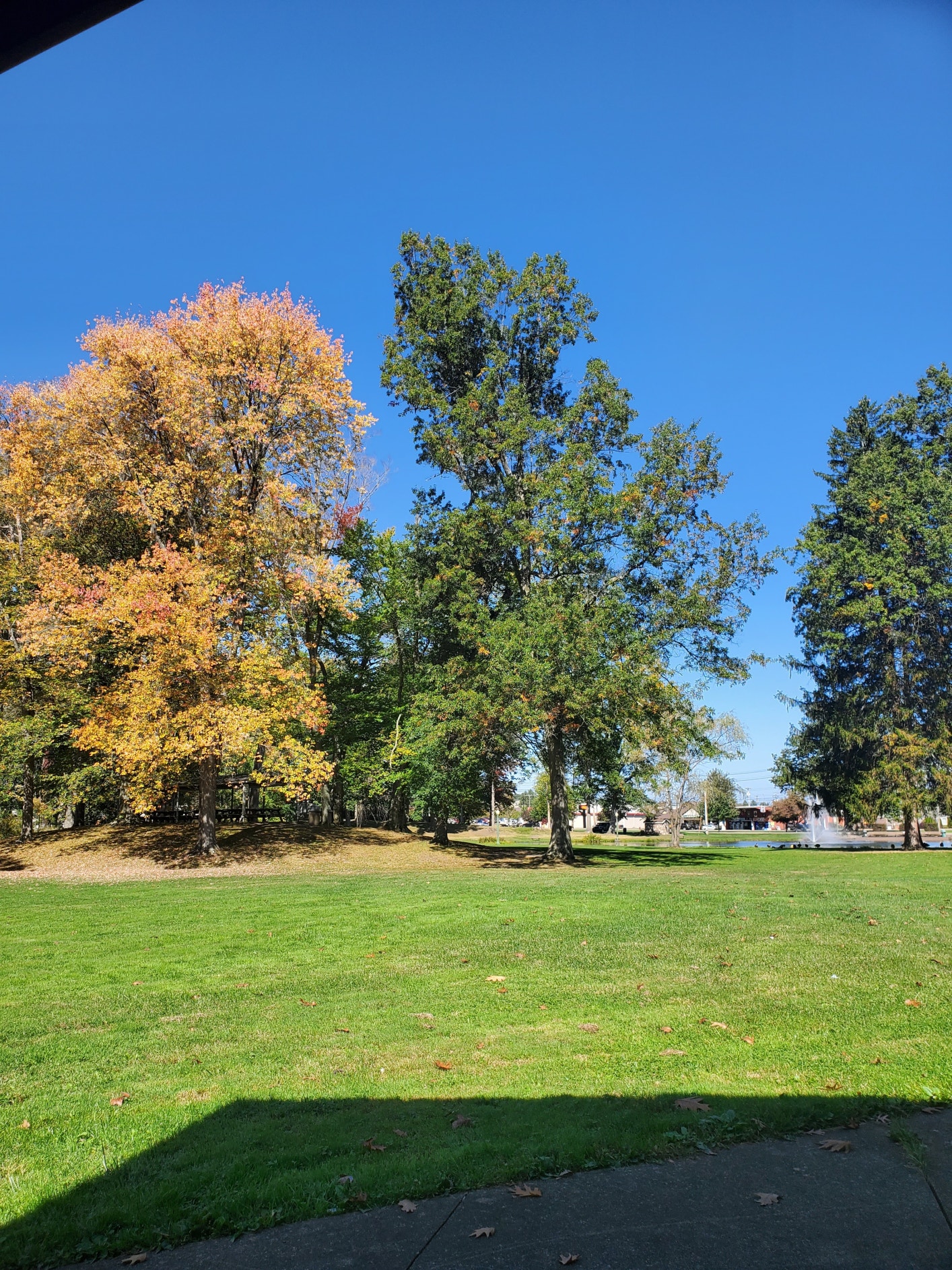 SEVENTEEN Community Posts My lovely lunch time view in Pennsylvania! The leaves are really