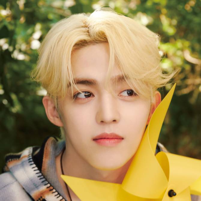 Most recent profile image for SEVENTEEN S.COUPS
