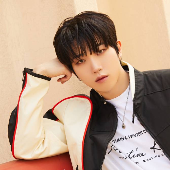 the kingdom 더킹덤 ダン トレカ 36枚 Weverse The KingDom Community Highlight