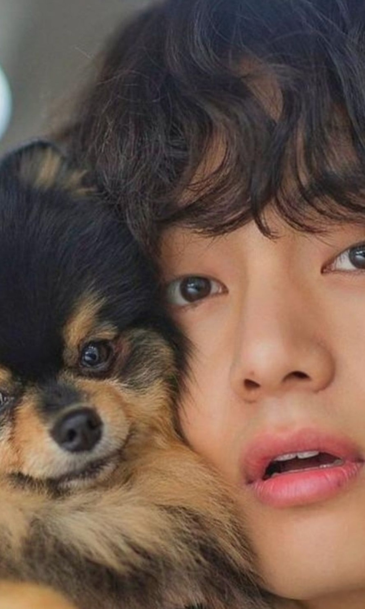 BTS Community Post -