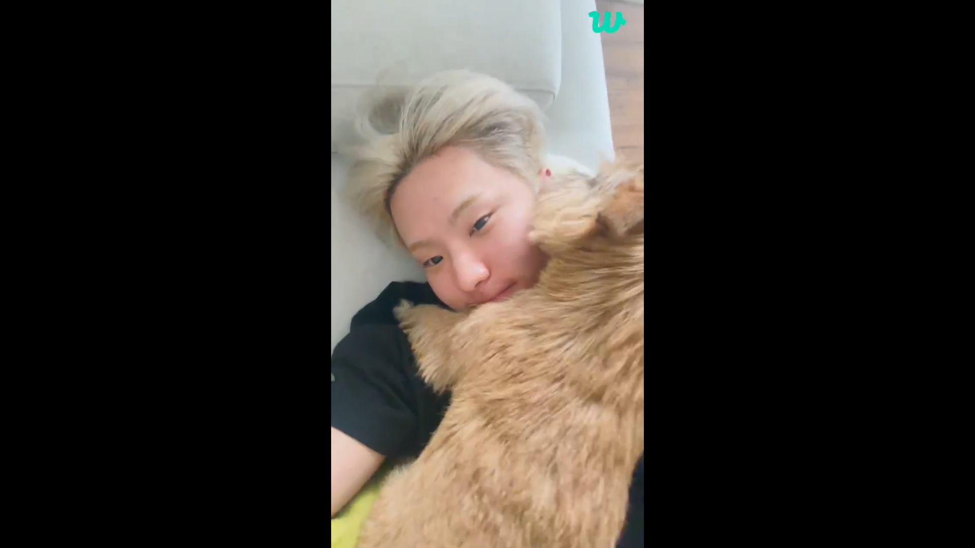 🐯