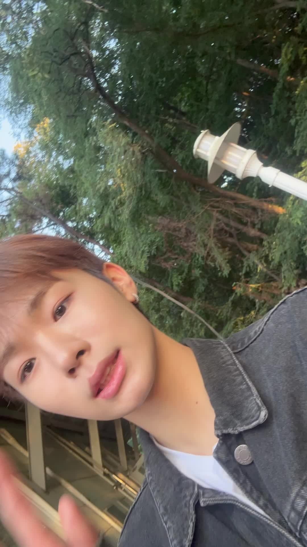 WHIB 커뮤니티 포스트 - 피톤치드🌳🪵 - 원준