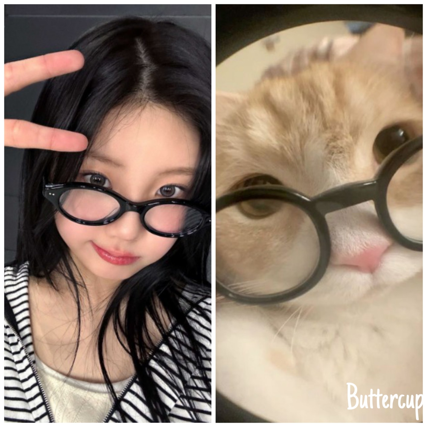 Illit Community Posts Du Du Duduuu ⁠´⁠∩⁠｡⁠•⁠ ⁠ᵕ⁠ ⁠•⁠｡⁠∩⁠`⁠ 🎀 Wonhee Why Why Why 😹😹😹