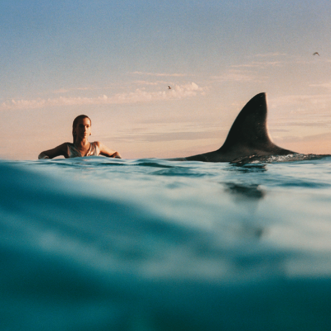 notice-one-month-countdown-to-the-radical-optimism-tour