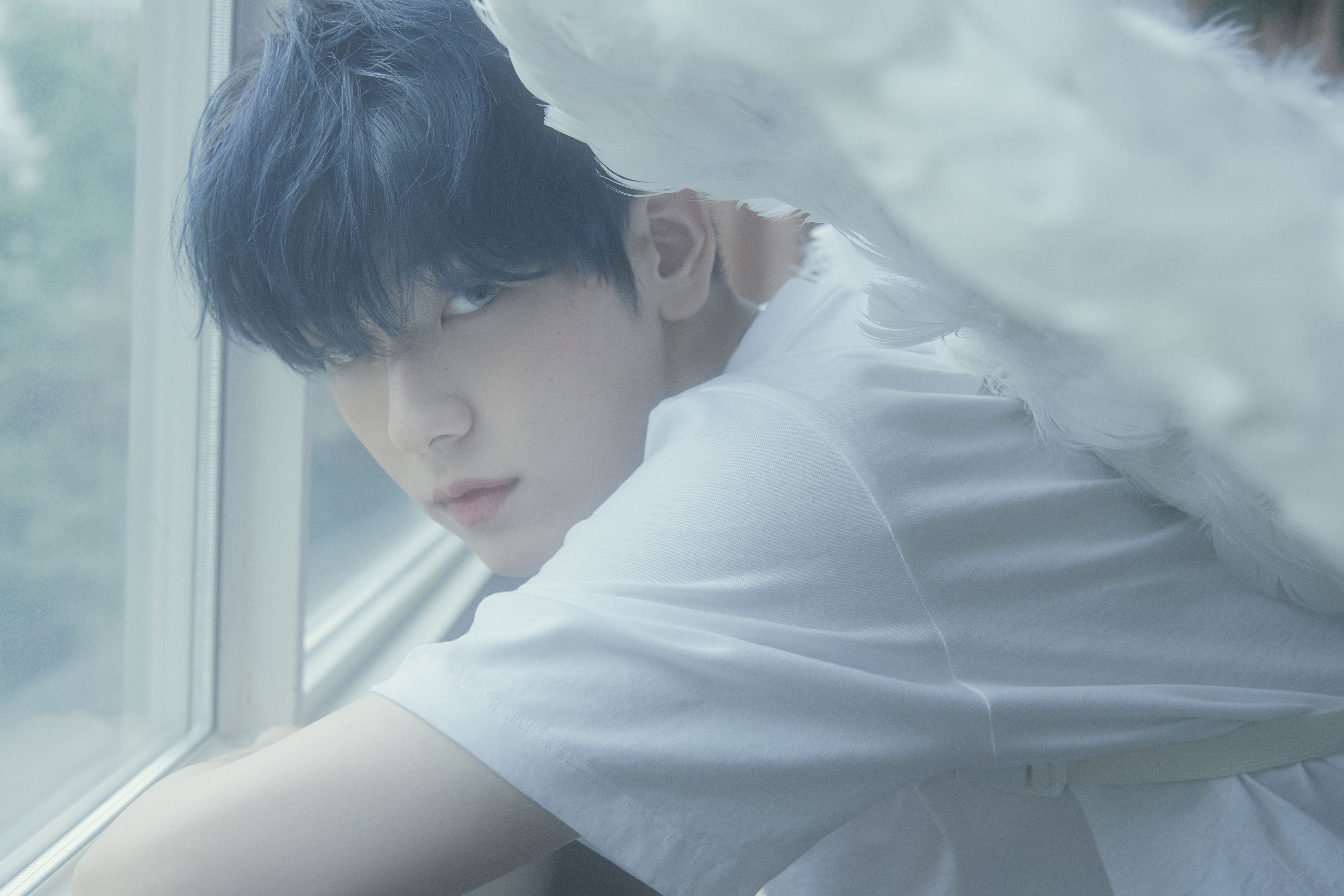 TOMORROW X TOGETHER - TXT SANCTUARY ANGEL ver ヒュニンカイ