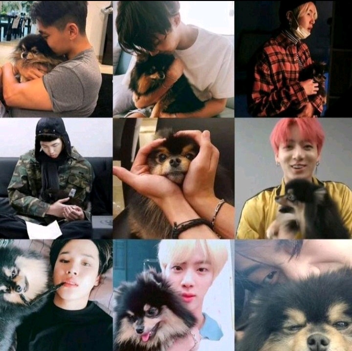 BTS Community Post - #bts Rm Jin Suga Jhope Jimin V Jk with YEONTAN 😭😭😭😭😭😭😭