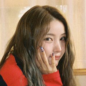GFRIEND SOWON的最新個人簡介圖片