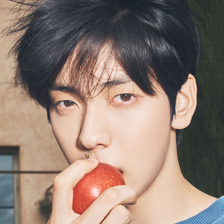 SEVENTEEN Bittersweet ミンギュ ソロコンプ トレカ