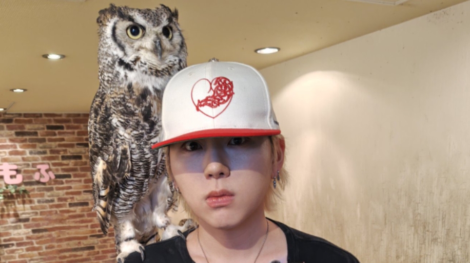 貴重！【札幌ピヴォ限定】HER 購入特典 ステッカー ZICO/ジコ 1枚など 2025 ZICO birthday project / METEOR on X: 