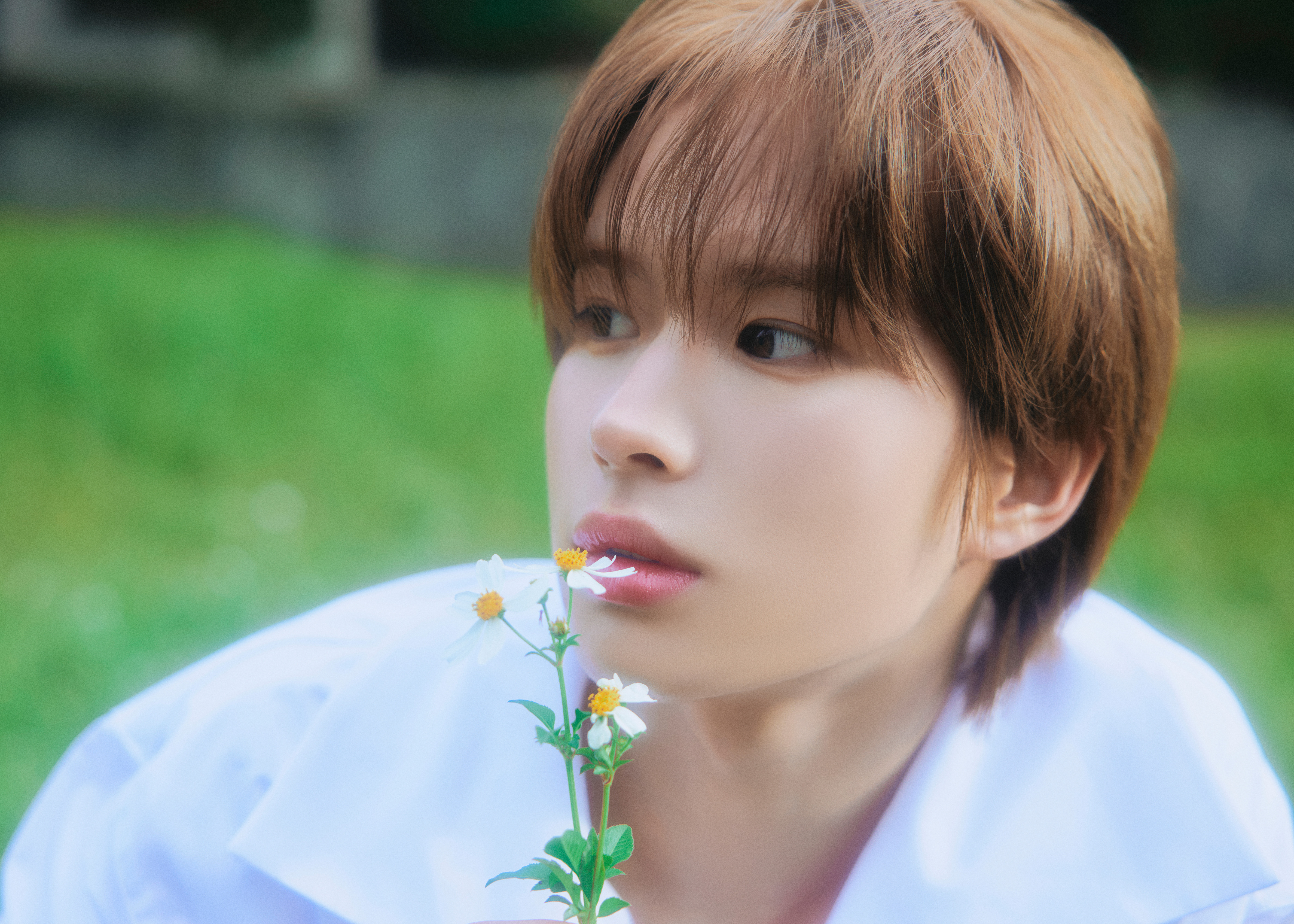Weverse TWS Image - TWS JAPAN 1st Single 「はじめまして