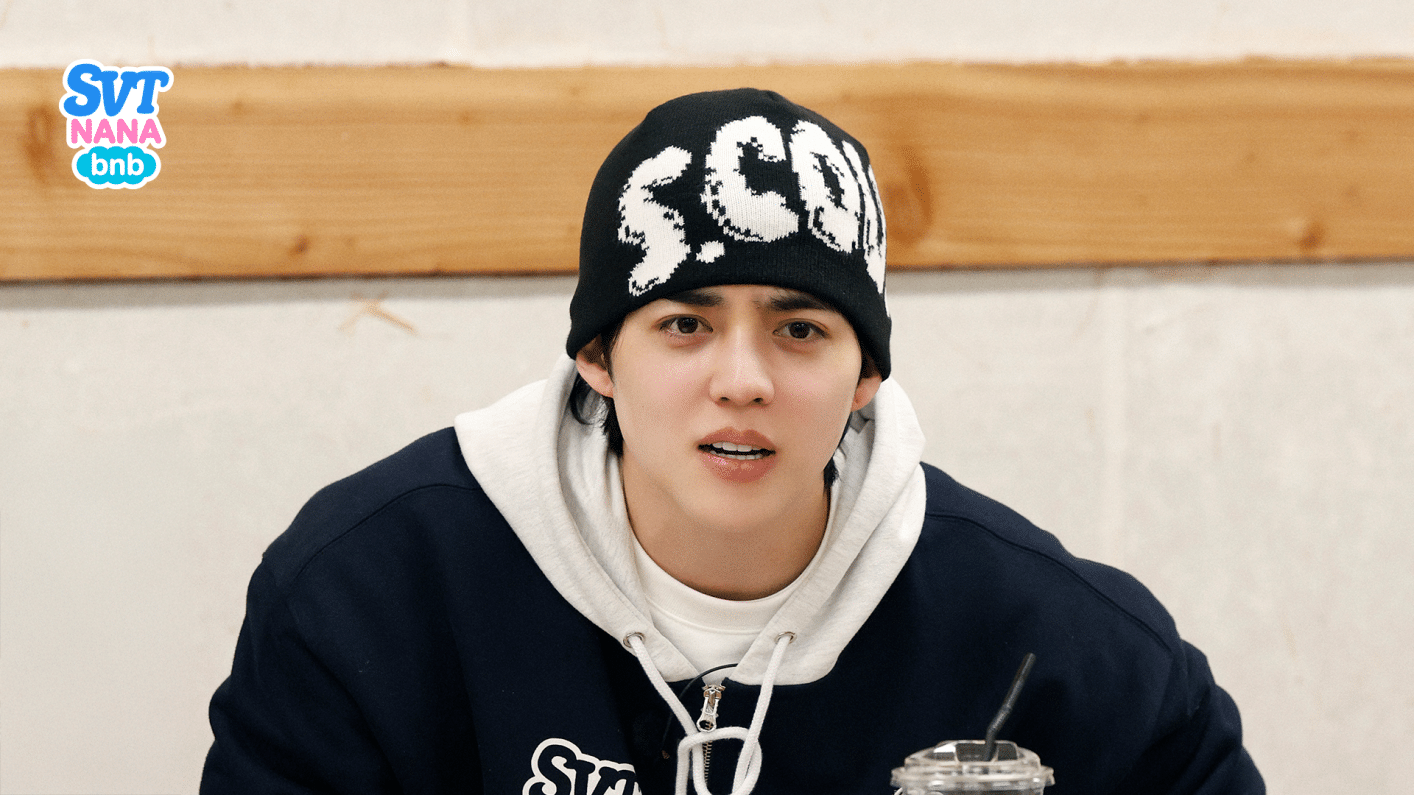 SEVENTEEN ナナ民泊 NANA bnb ジョンハン ビーニー SEVENTEEN NANA bnb ビーニー SVT SEVENTEEN ナナ民泊 NANA bnb