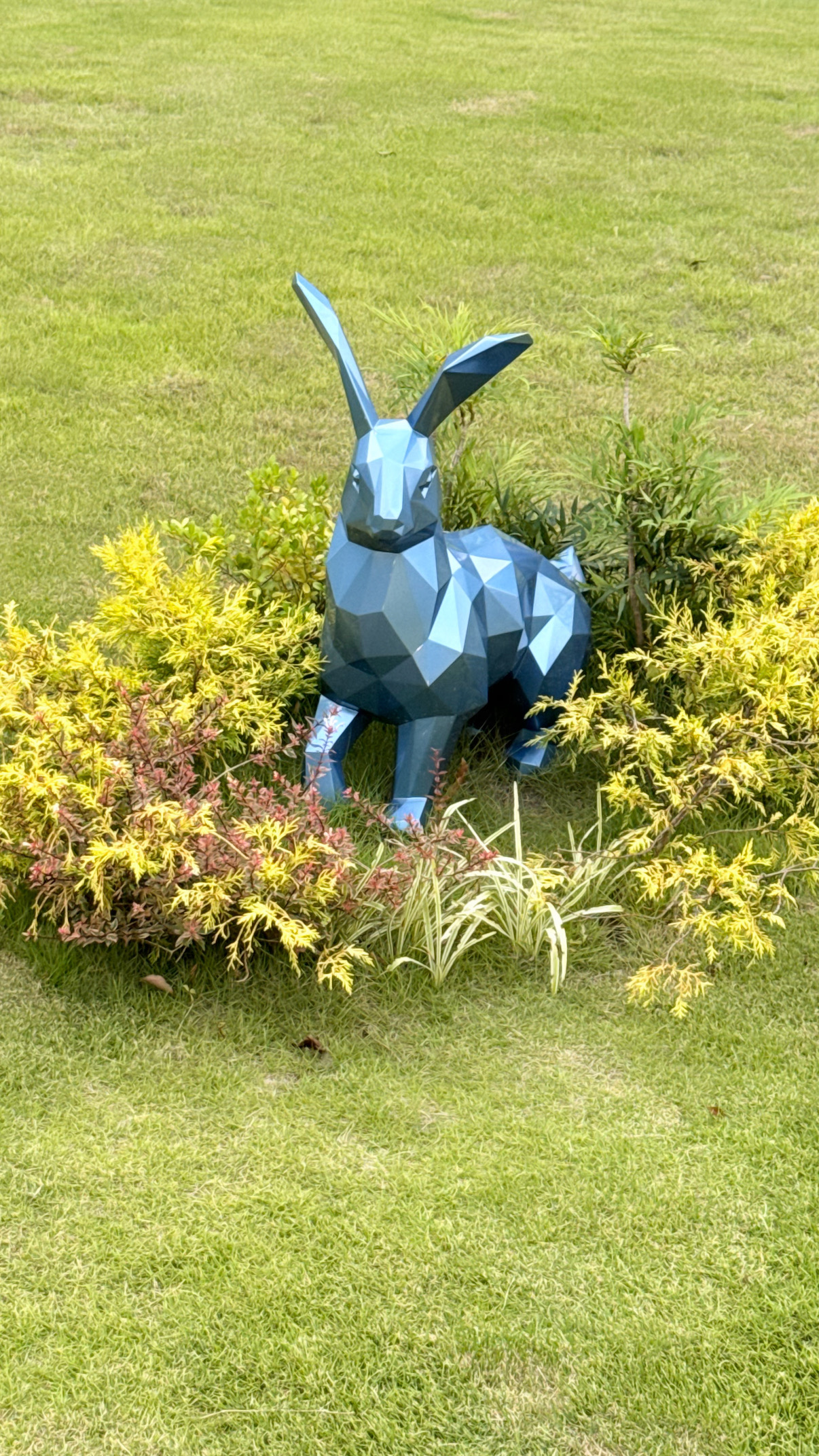 aoenコミュニティの投稿 - 🐰と🐰 - 礼央