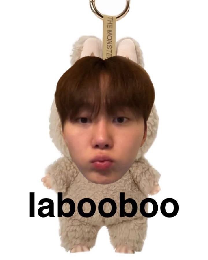 SEVENTEEN Community Post - Labubu Labooboo #boo_ssi