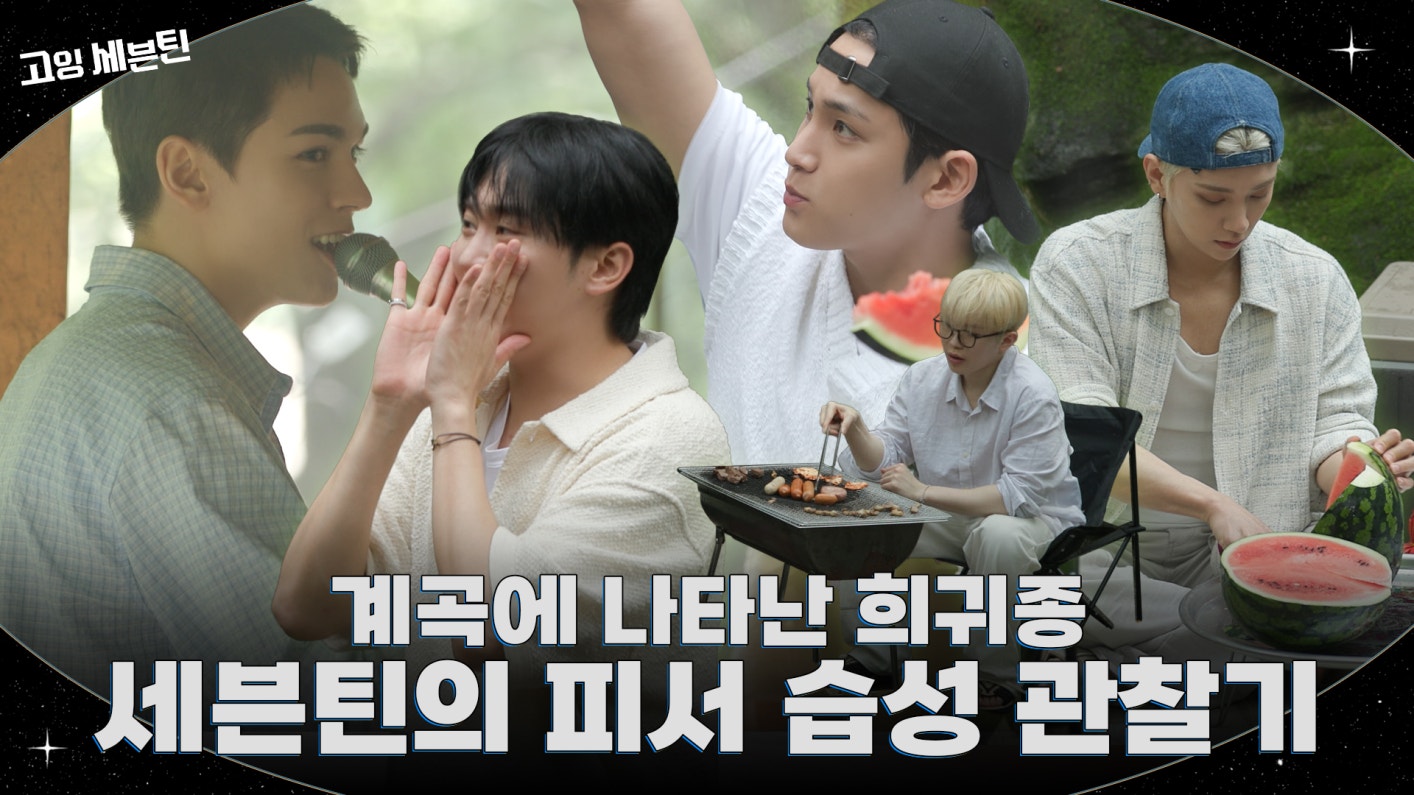 Weverse SEVENTEEN Media - [GOING SEVENTEEN] EP.137 세븐틴, 무리 지어 쉬다 #2 ...