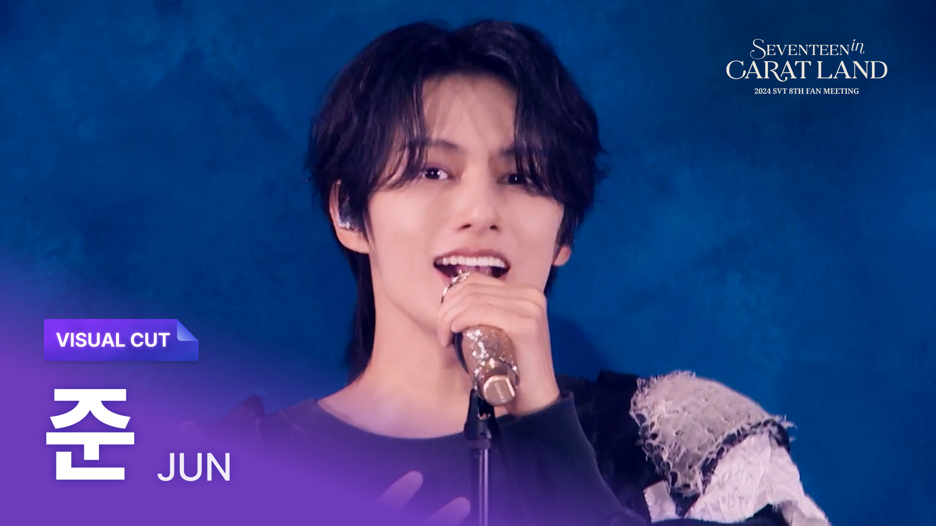 Weverse SEVENTEEN Media - 2024 SVT 8TH FAN MEETING <SEVENTEEN in