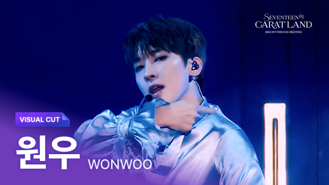 2024 SVT 8TH FAN MEETING <SEVENTEEN in CARAT LAND> VOD - VISUAL CUT #6 WONWOO