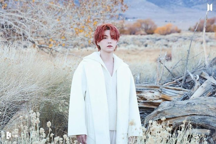 BTS Community Post - 