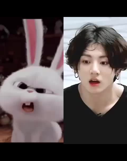 BTS Community Post - our Bunny