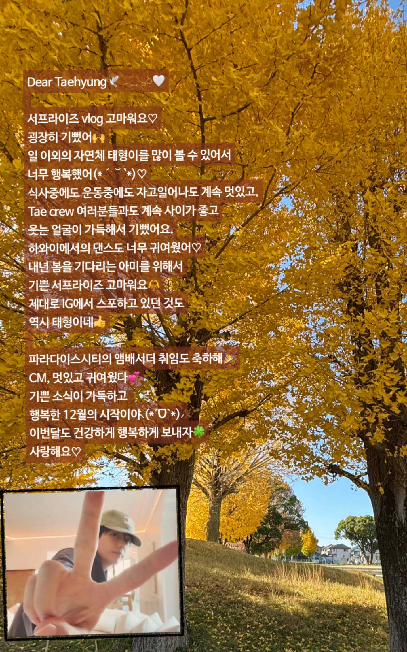 bts-weverse-fan-letter
