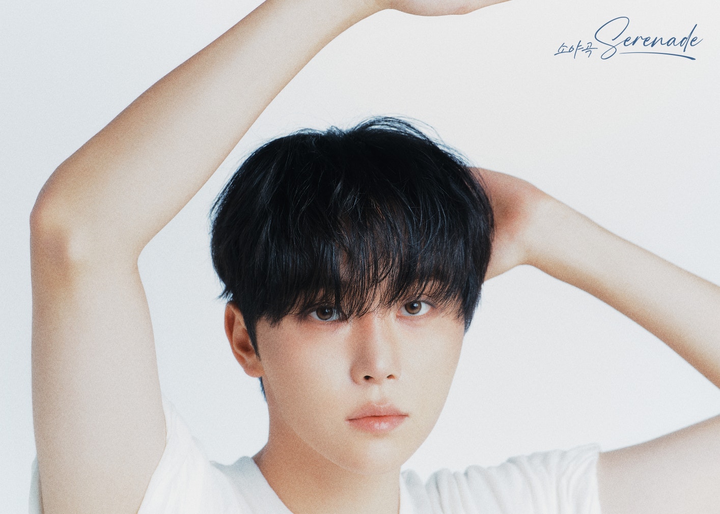 もももです⭐︎SEUNGKWAN site official Japan SEVENTEEN | NEWS ラキドロ weverse タレントカード