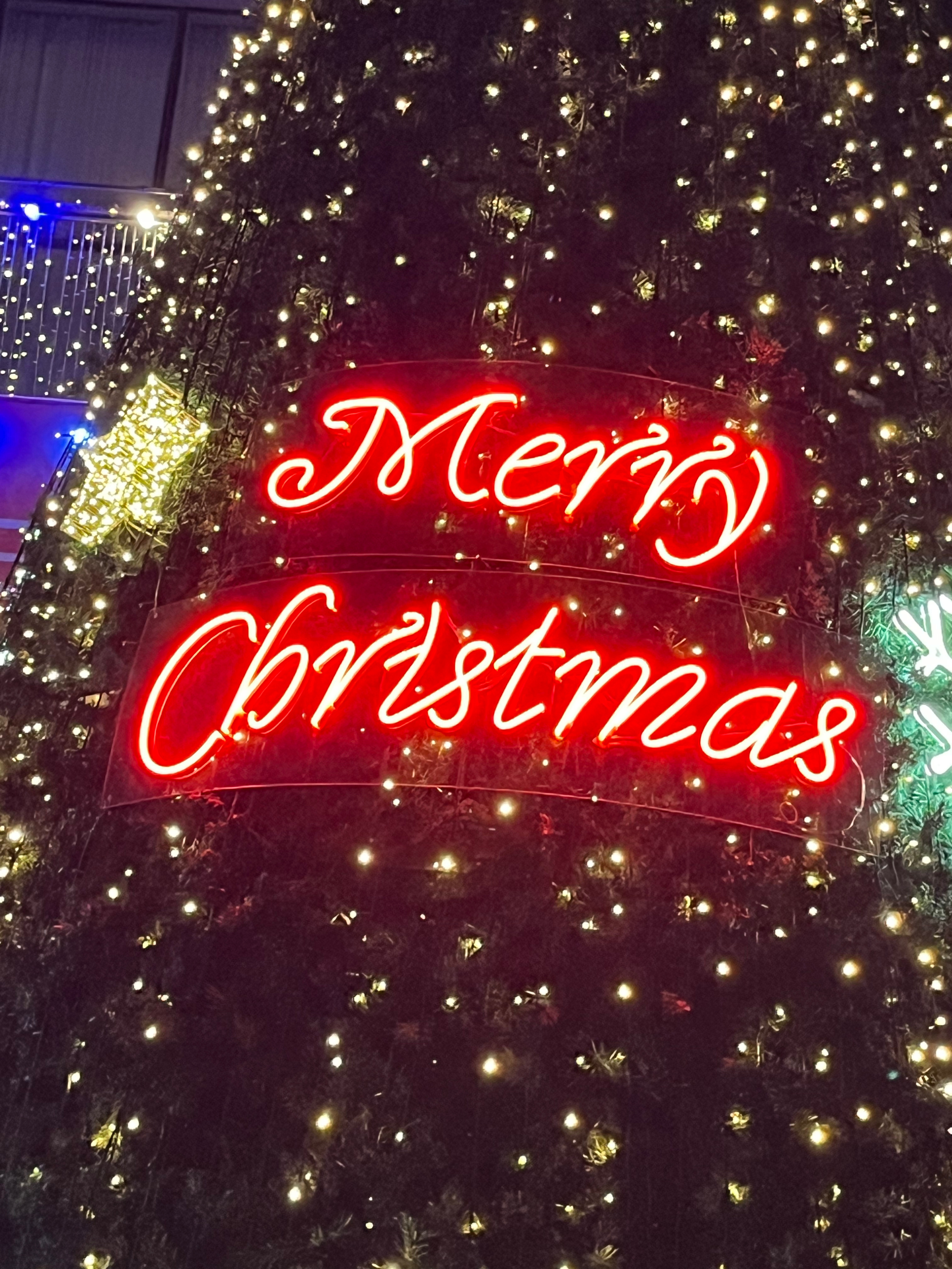 AMPERS\u0026ONE Community Post - 오늘 크리스마스을 앤디어와 함께 보낼수있어서 너무 행복했어요! 정말 많이 사랑해요!  🎄 - KYRELL, image size:3024x4032