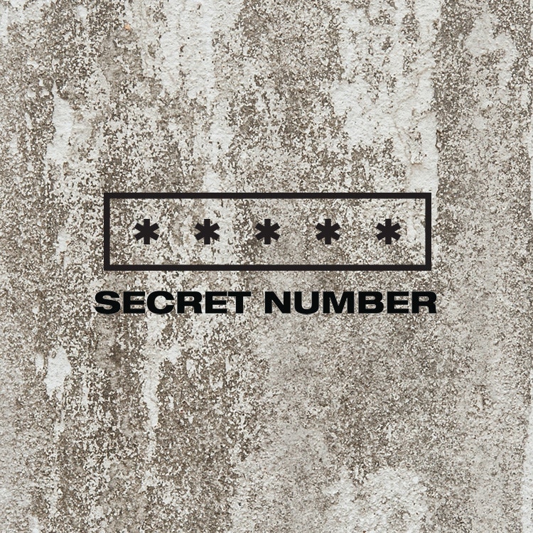 SECRET NUMBER公式プロフィールと新着情報