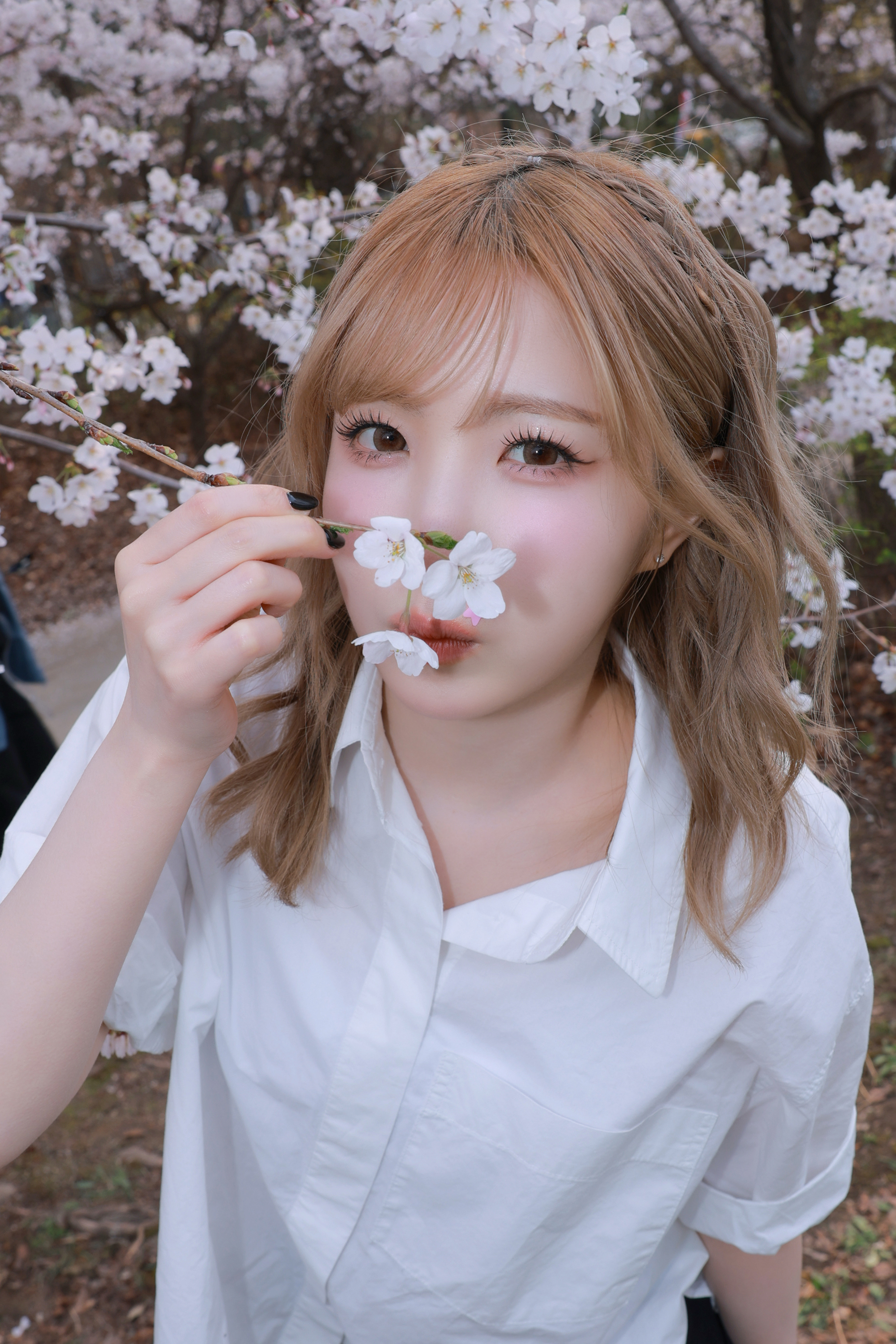 Syati☆様♡ありがとうございます♡ WeverseSAY MY NAME圖片 - 🌸💖⭐️🤧🫶🏻