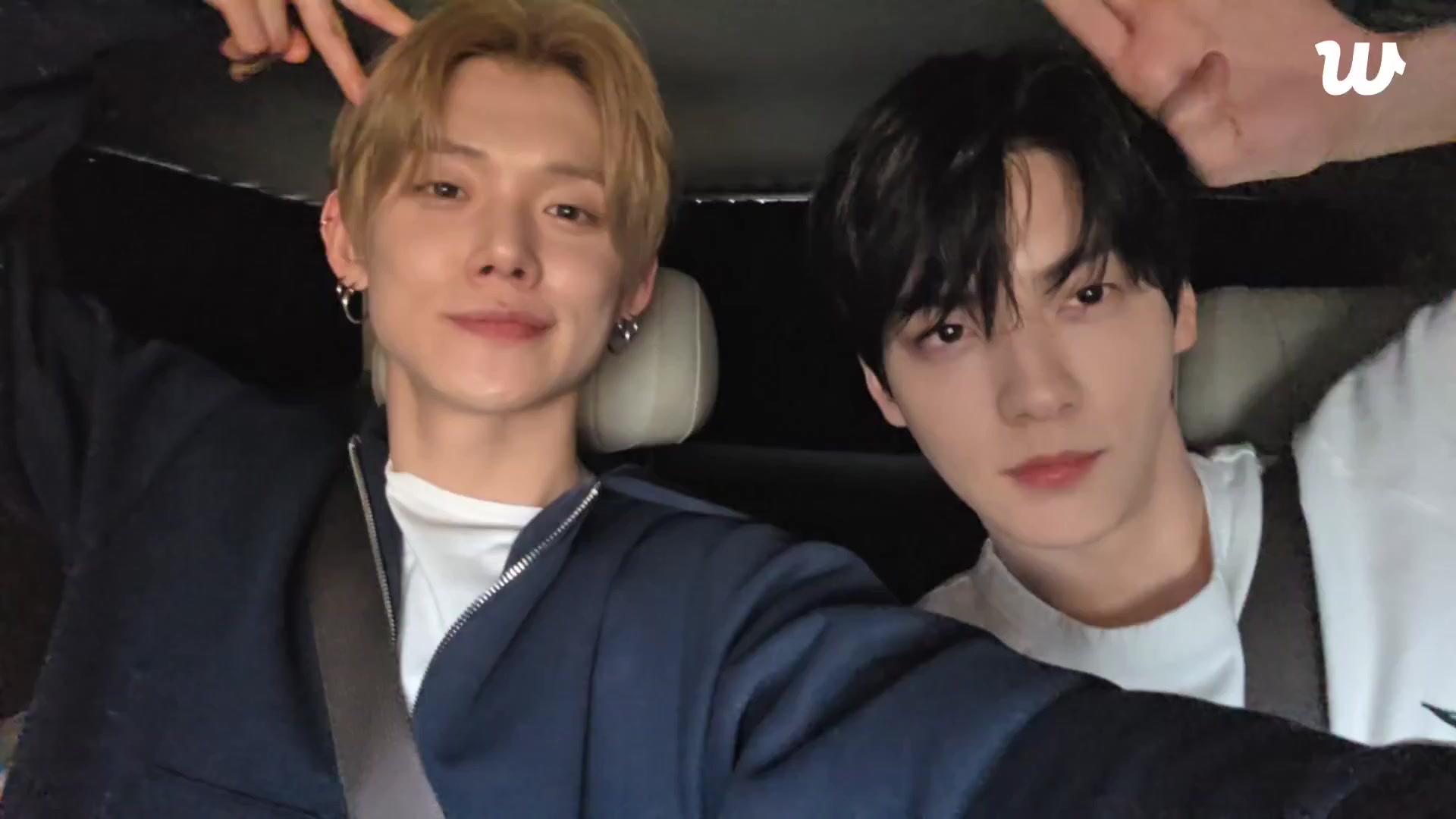 🐰🦊