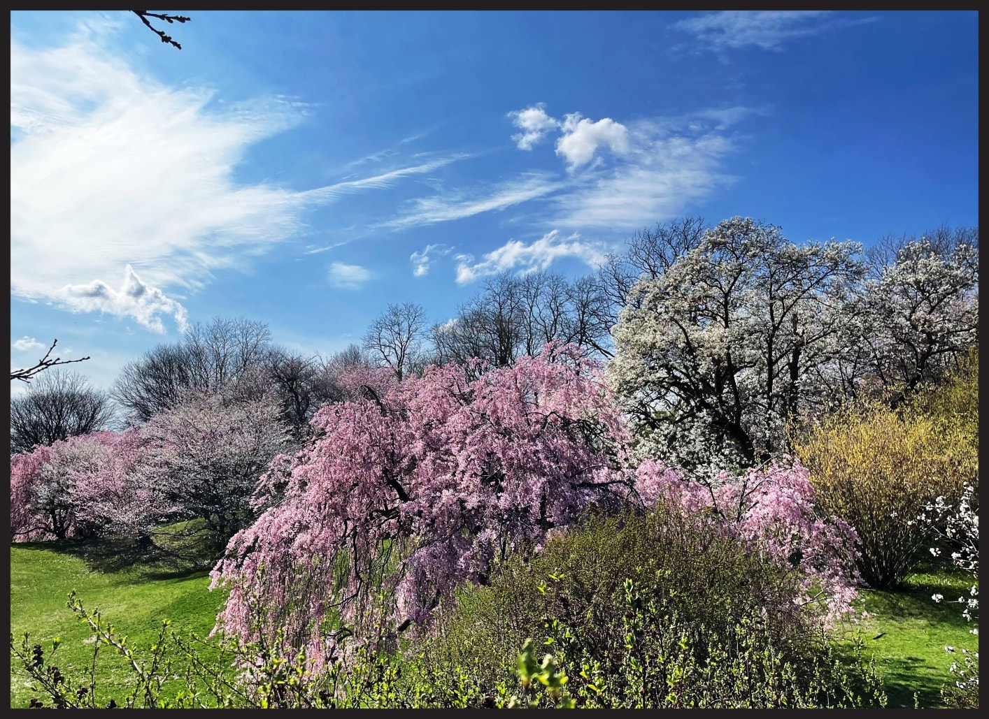 BTS Community Post - SPRING DAY NAMJOONING 💜 we’re having June temps in ...