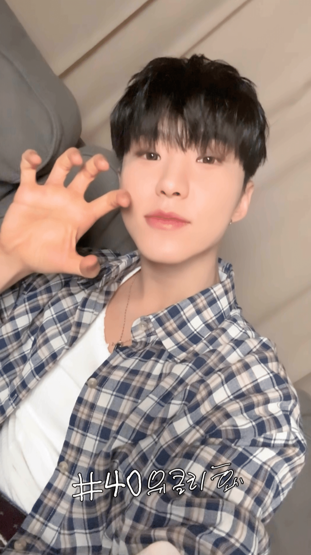猫☆Hoshitam☆014 Weverse SEVENTEEN Media - [HOSHI TAMTAM] 위클리 호시#40
