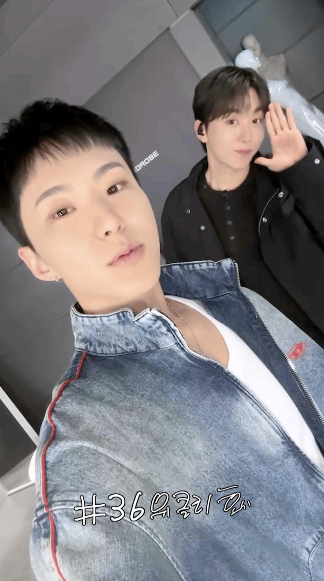 Weverse SEVENTEEN Media - [HOSHI TAMTAM] 위클리 호시#36